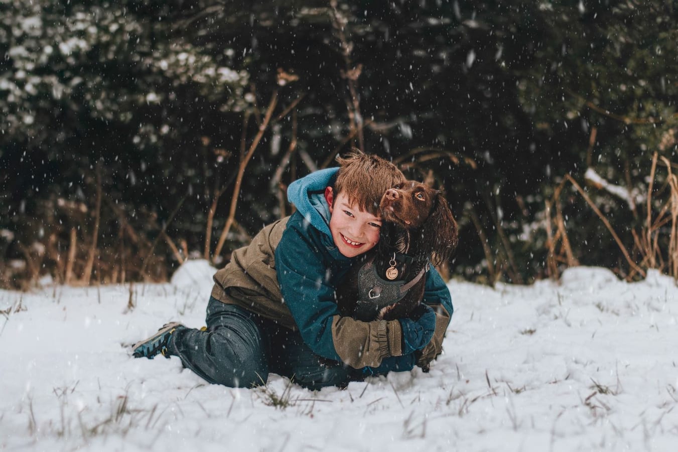 A boy lying in falling snow with his arms round a chocolate spaniel, both looking at the camera